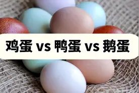 鸡蛋、鸭蛋、鹅蛋有什么区别？视频封面