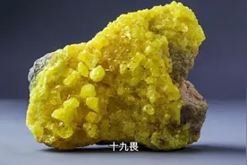 中医十九畏十八反及禁忌视频封面