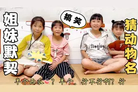 四姐妹玩游戏，姐妹默契配合相当好，老三表演动物奶爸笑疯了！