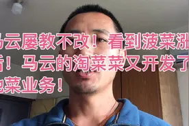 马云屡教不改！看到菠菜涨价后！马云的淘菜菜又开发了本地菜业务视频封面
