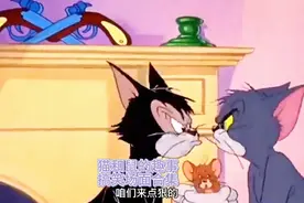 猫和鼠的趣事，搞笑场面合集（等你来笑纳）视频封面