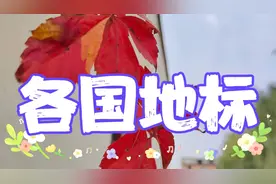 各国地标，  法国的地标是埃菲尔铁塔🗼，其他国家的你知道吗？视频封面