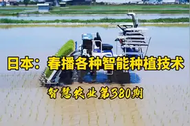 智慧农业380期：日本春播智能种植技术！应用了各种智能微耕技术视频封面