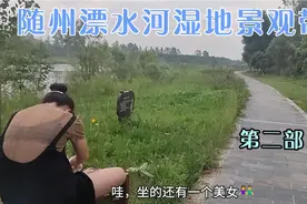 九分钟带你继续看遍随州漂水河畔湿地自然风光，看得过瘾，完美耶视频封面
