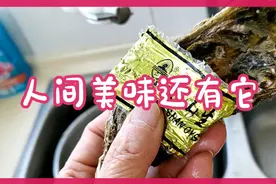 我边作边吃边告诉你，吃海鲜生蚝那些事，你一定要注意视频封面
