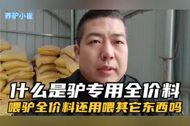 什么是驴全价料，喂驴全价料还要喂其它东西吗？小崔分享养驴技术视频封面