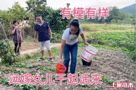 远嫁女儿回娘家，粗活细活样样精通，岳父岳母一旁看着满脸幸福视频封面