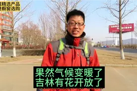 没想到吉林现在就有花开了，一年比一年早，真的是气候变暖了！