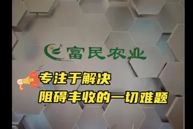 玉米苗期黄叶的其中一个原因！下期附带解决办法！视频封面