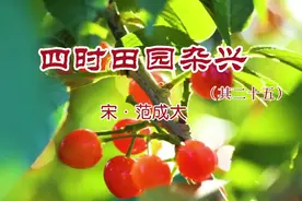 古诗词朗诵《四时田园杂兴·其二十五》（四年级语文下册）视频封面