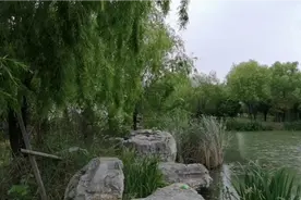 路人对熊磊放出姚策录音翻车后的评论。视频封面