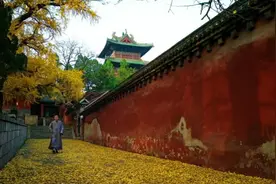 希阿荣博堪布——透过佛法看世界:给寻找答案的人视频封面