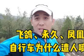 为什么飞鸽，永久，凤凰国内自行车三巨头，会遭人喷？视频封面
