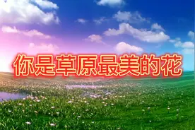 电吹管@你是草原最美的花视频封面