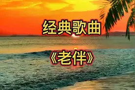 感恩情歌《老伴》献给天下老年父妻的歌