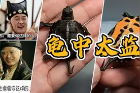 我的乌龟是太监?那个地方是弯的......视频封面