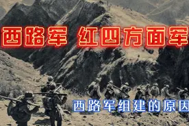红四方面军为主体的西路军为什么组建？视频封面