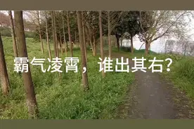 文韬武略，纵横捭阖；磅礴豪迈，旷古绝今！视频封面