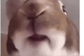 callyou。cehhggvhchv