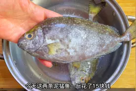 养殖比野生还贵的鱼：泥猛鱼，今天分享泥猛鱼砂锅粥视频封面
