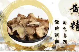 黄精——补气养阴，健脾润肺，益肾视频封面