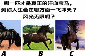 心理测试：你人生会在哪方面一飞冲天，风光无限呢？视频封面
