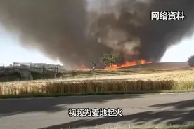 麦收防火石家庄消防发布安全提示！视频封面