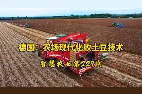 智慧农业229期：德国农场现代化收土豆技术！简直就是个移动工厂视频封面