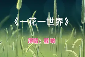 一念转瞬万绪，一笑诸事皆安。静品云清风闲，淡看世间万般…视频封面