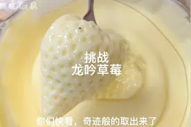 挑战米其林800一颗的草莓，你们猜我最后做出来没有视频封面
