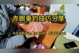 赤眼垂钓技巧分享，花生泡制方法。低温和闷热天气变化需要调整视频封面