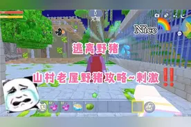 迷你世界：逃离野猪~山村老屋野猪攻略~超刺激！哈哈哈‼️😭