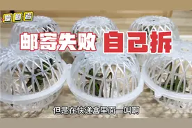 拆4个不敢收的快递，内有7只蝈蝈的小弟，都2021了活物不能邮寄？视频封面