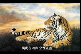 生肖虎，出生在4月-6月特点视频封面