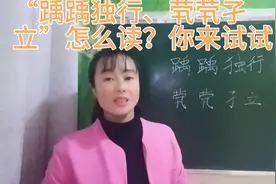 “踽踽独行”常常被人读作“禹禹独行”，“茕茕孑立”却不会读视频封面