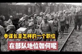 参谋长是一个怎样的职位，在部队的地位又如何呢？视频封面