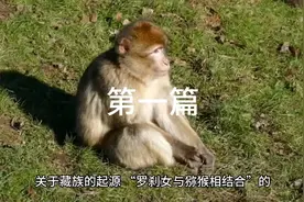 西藏起源历史视频封面