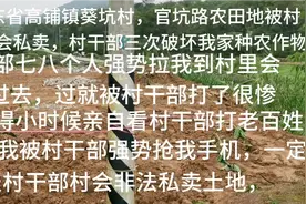 农田地被村委会私卖视频封面