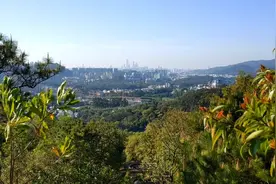 一切如来心秘密全身舍利宝箧印陀罗尼视频封面