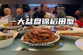 在盘锦红海滩抓了上百只稻田蟹，让厨师全部蒸了吃，大家都吃嗨了