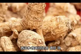 西洋参的功效与副作用有哪些？视频封面