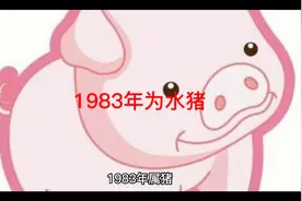 十二生肖守护神之1983年属水猪视频封面