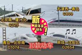 2021年最后的高铁大合集，2分钟带你了解十款动车组，不看后悔！视频封面