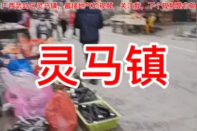 广西武鸣区灵马镇，最接地气的视频，关注我，下个视频是你的家乡视频封面