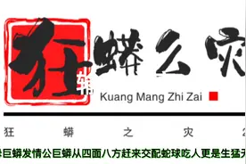 #公巨蟒从四面八方赶来和母巨蟒交配形成蛇球它们能感应到发热体视频封面