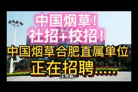 中国烟草！校招+社招！中国烟草合肥直属单位正在招聘!视频封面