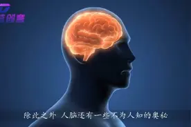 人脑的工作原理 #小学科学#生物学视频封面