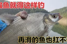 钓武昌翘嘴，这套钓法确实好用，掌握好了可以钓光整条河！视频封面