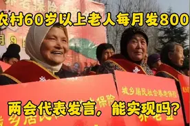 农村60岁以上老人每月发800元养老金，两会代表发言，您支持吗？视频封面