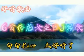 6首伤感女生DJ串烧歌曲，句句扎心，太好听了，值得收藏转发